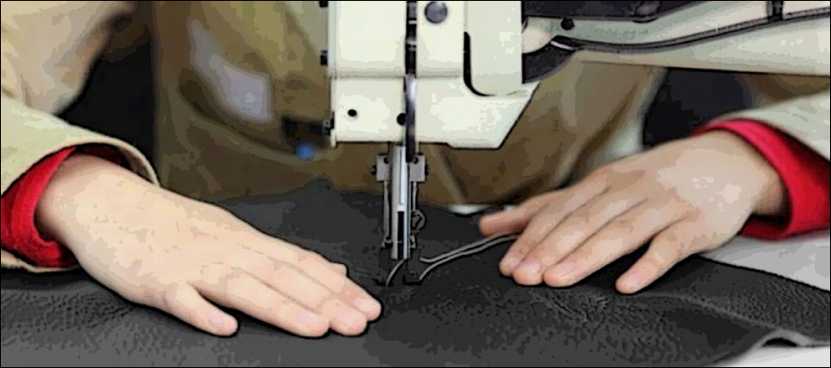 6546456.jpg